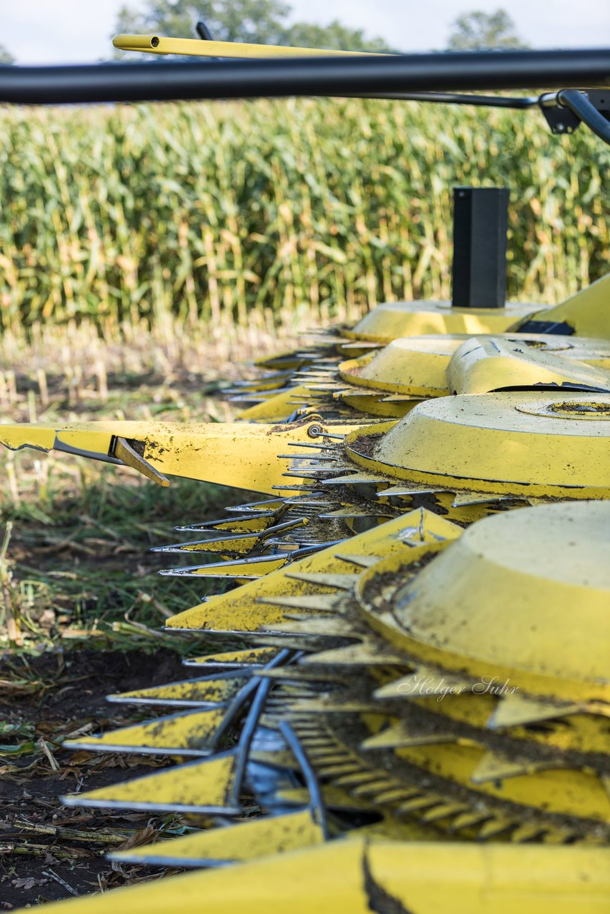 Bild 245 - Maisernte